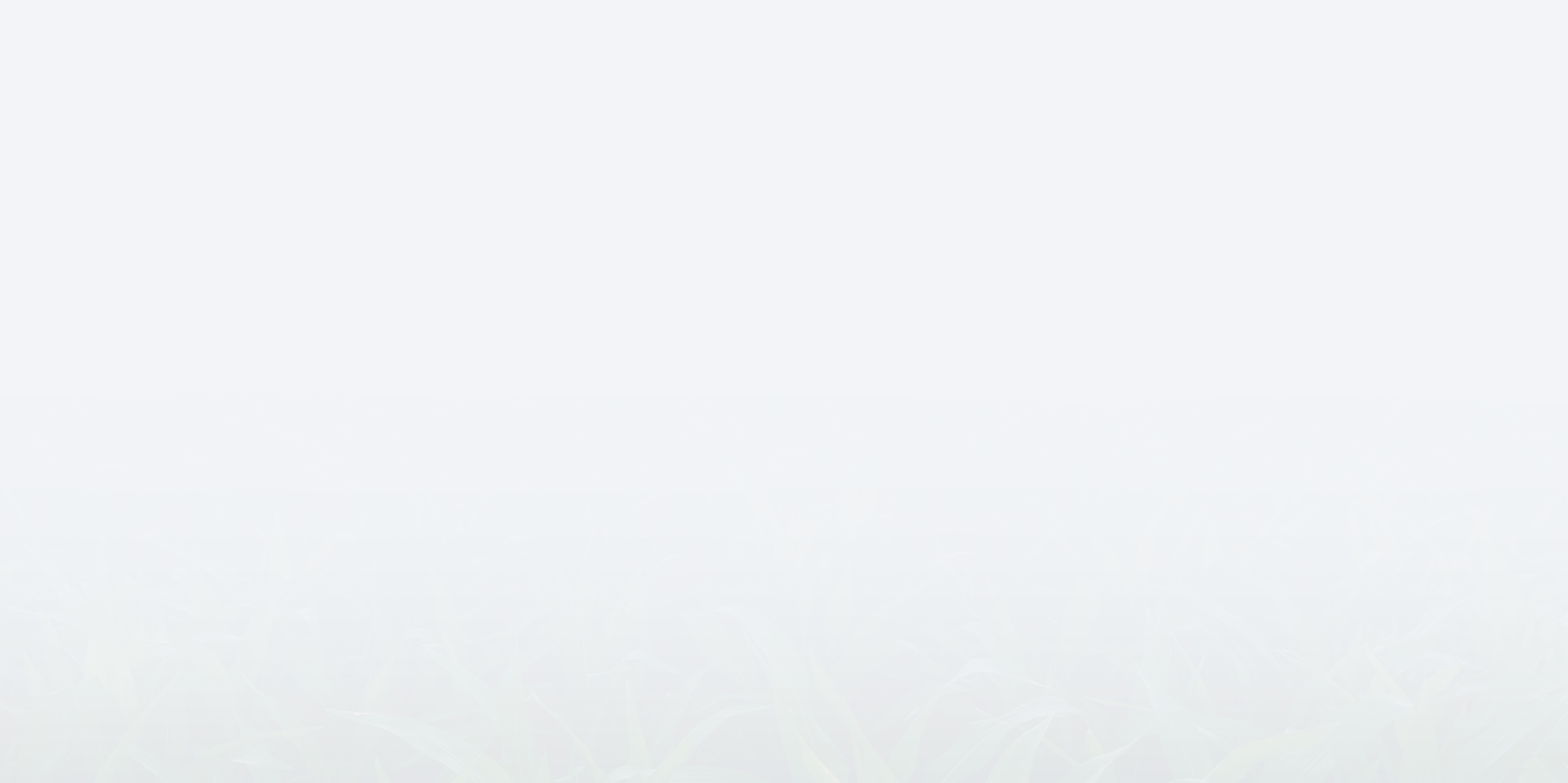 imgboxbg imgboxbg